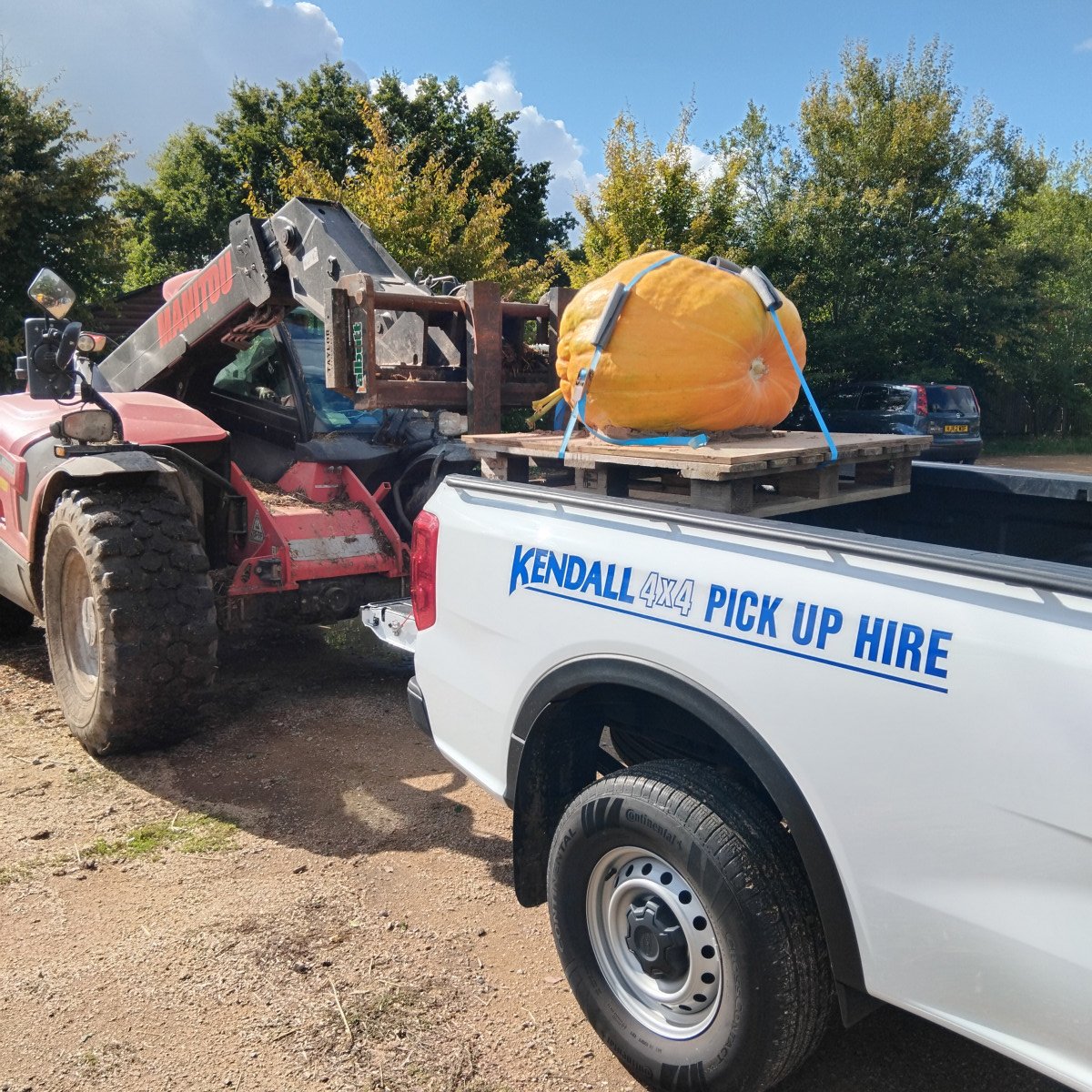 Giant pumpkin being loaded on Kendall Cars Rental Vehicle.
