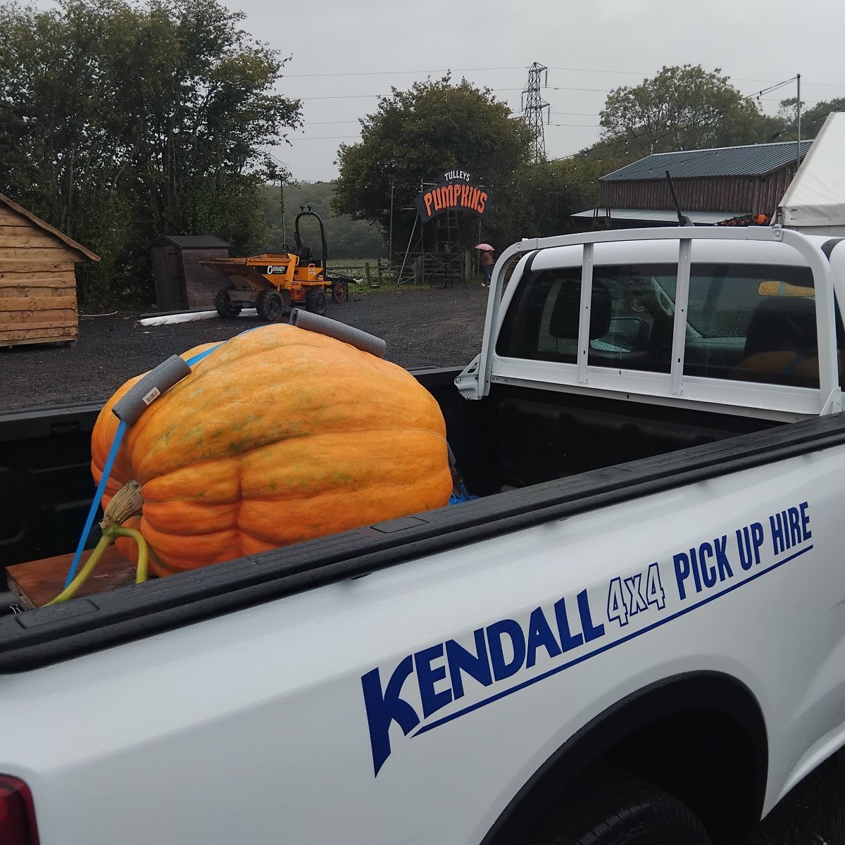 Giant pumpkin being loaded on Kendall Cars Rental Vehicle.